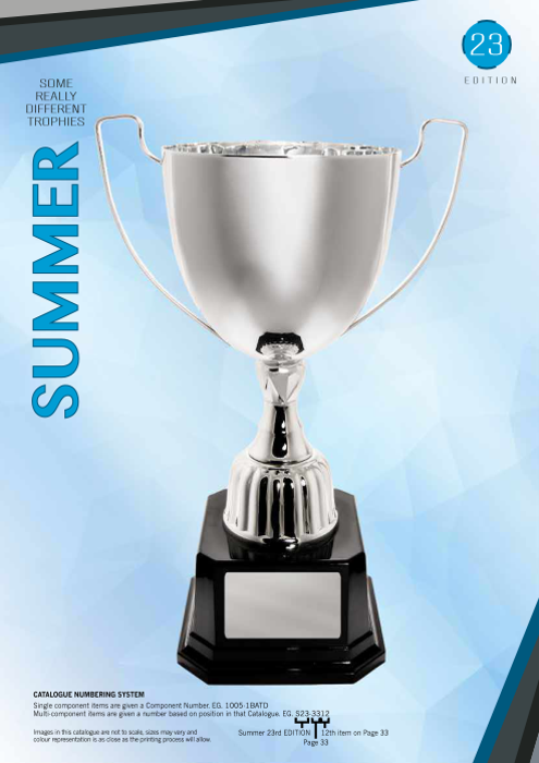Different Trophies Summer 2023 cover image