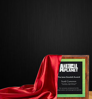 Explore a wide range of plaques