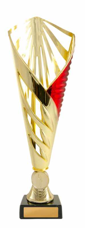 Aerius Cup