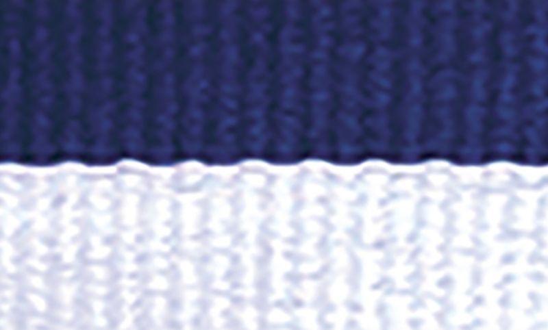 Blue White Ribbon