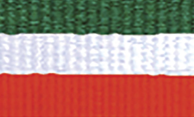 Green White Orange Ribbon