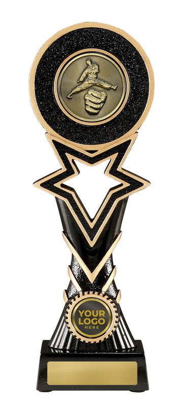 Martial Arts Trophy 245mm