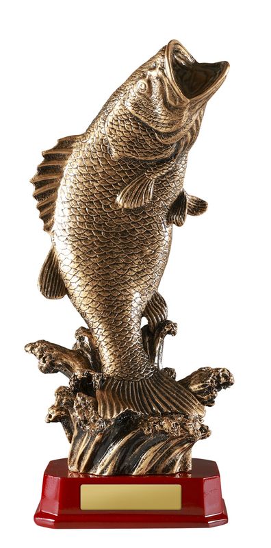 Trout Fishing Trophy 320mm
