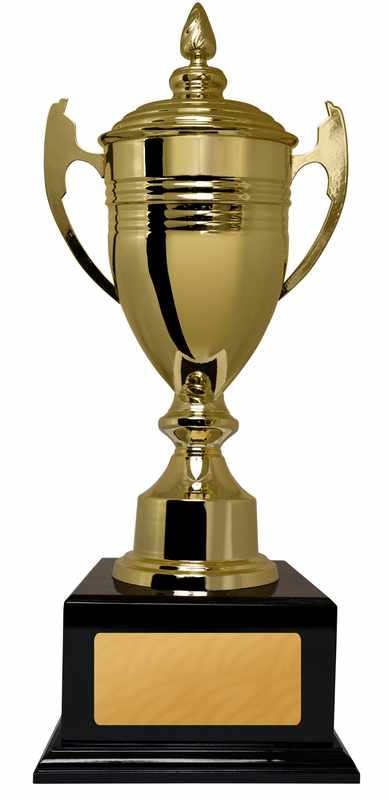 Gold Metal Cup 550mm