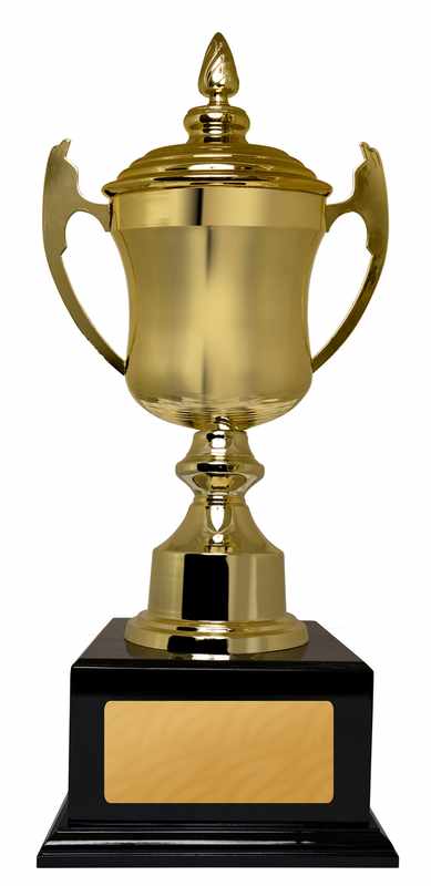 Gold Metal Cup 550mm