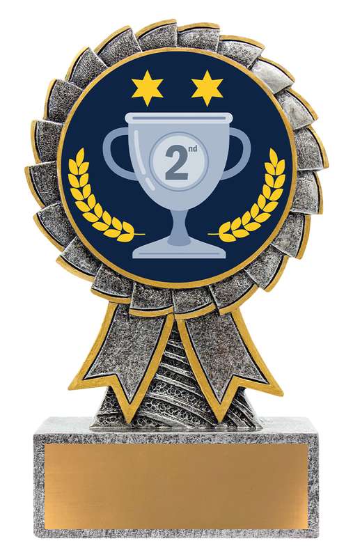 Aster – 2nd Place
