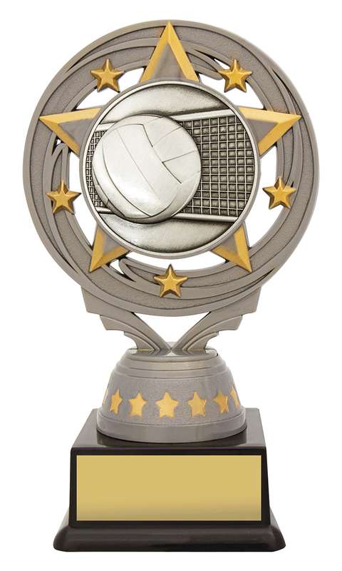 Silver Volleyball Torch
