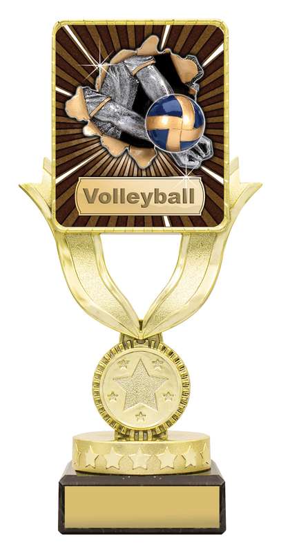Lynx Sentry – Volleyball