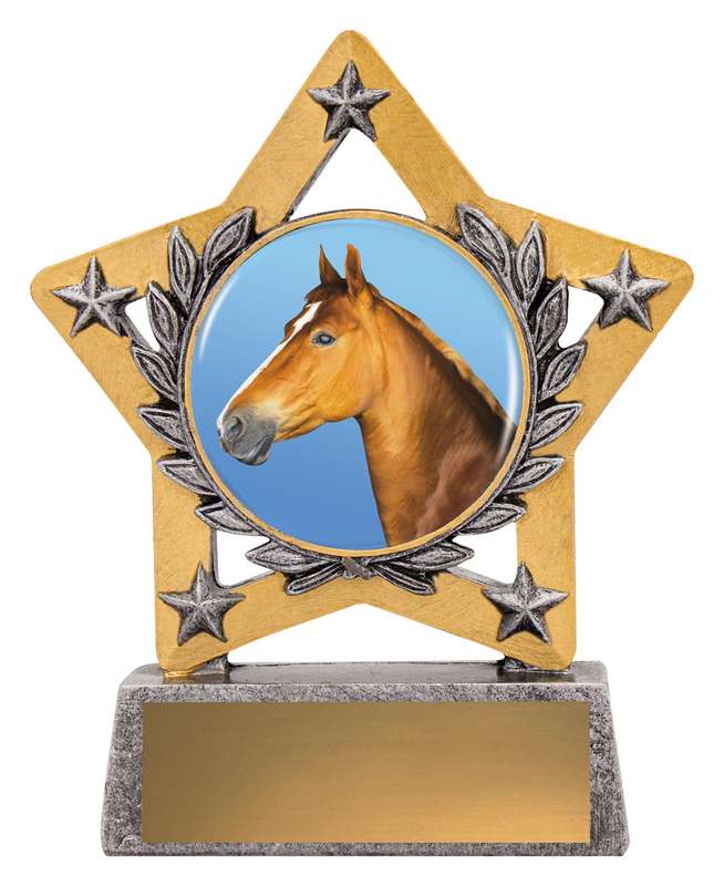 Mini Star Colour – Horse