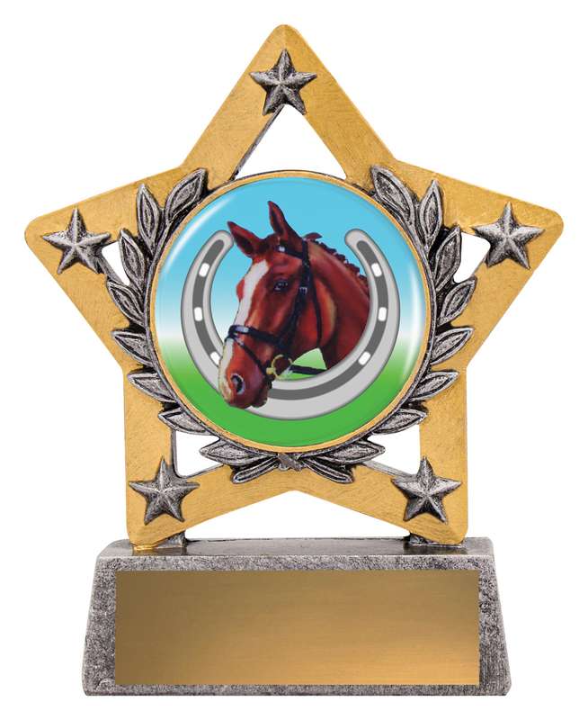 Mini Star Colour – Horse Shoe