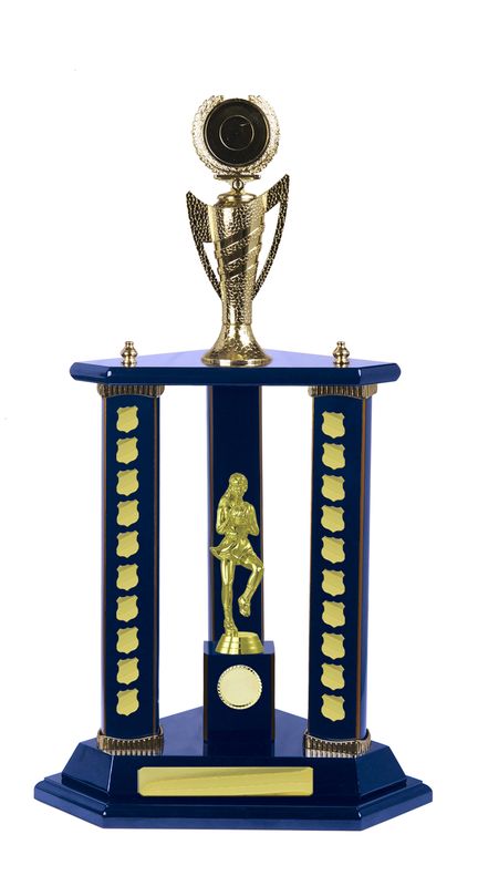 Netball Perpetual Trophy 600mm