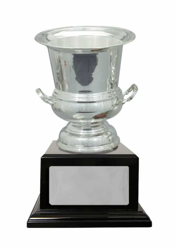 Silver Metal Cup 185mm