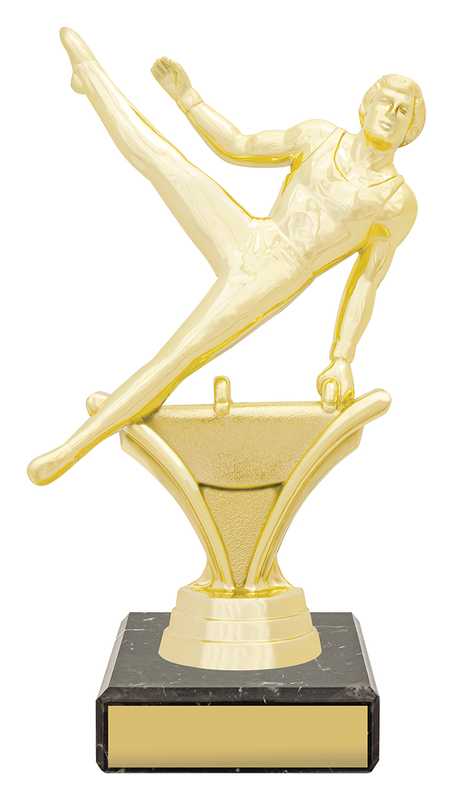 Figure Trophy - Male Gym
