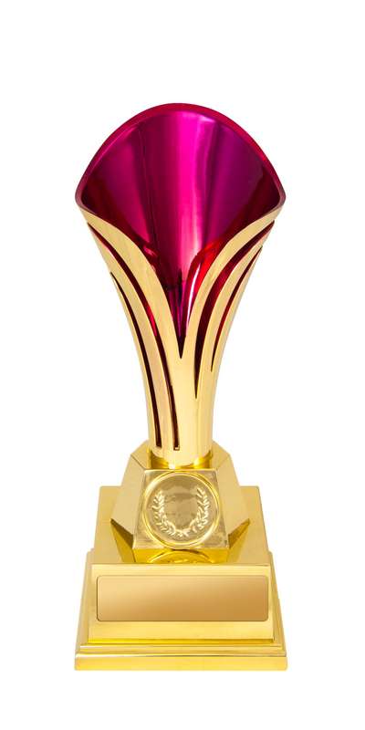 Tulipa Cup