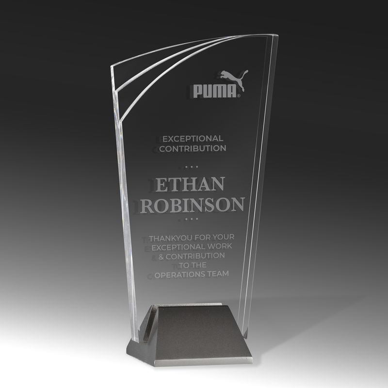 Wedge Acrylic Award 160mm