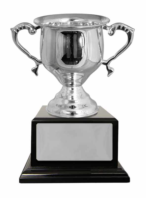 Silver Metal Cup 280mm